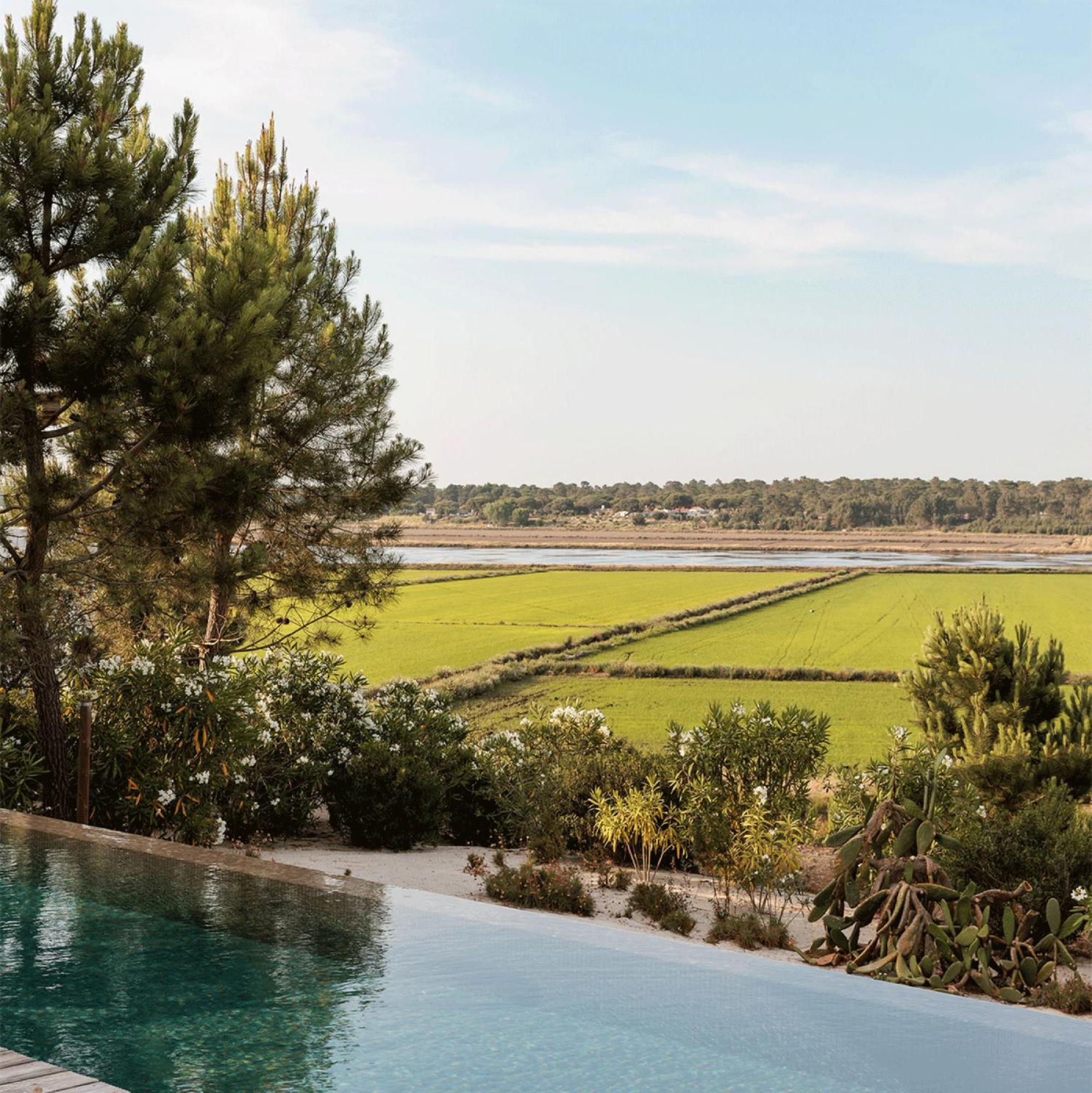 Campo De Arroz Villa Carvalhal  Bagian luar foto